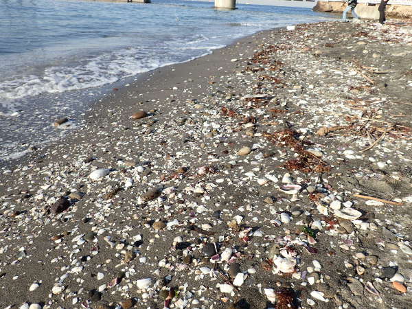 猿島　砂鉄の浜