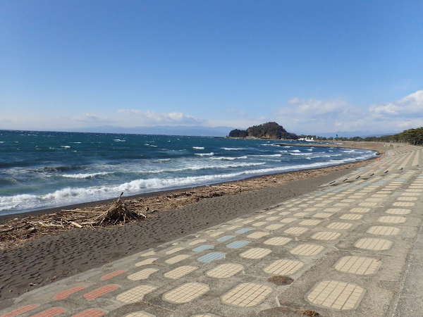 海岸にたくさんの流木が打ち上げられていた冬の志下海岸の画像01