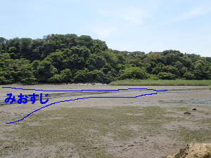 小さな河川が流れる澪筋（みおすじ）の画像03