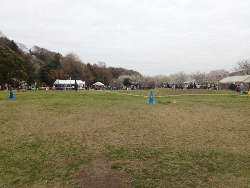 相模川自然の村公園の広場画像25