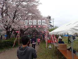 出店もありにぎやかな桜まつりの画像32