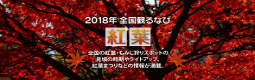 日本観光振興協会 2015年度紅葉情報