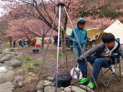 河津桜とかまどの画像18