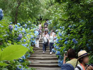 ①鎌倉石の参道の画像05