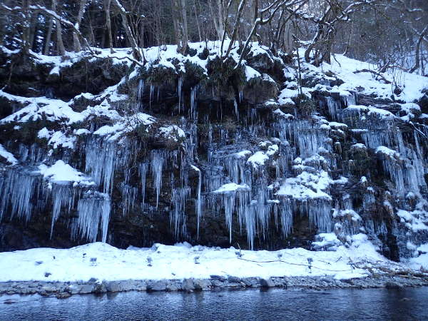 昼の三十槌の天然の氷柱（2016/01/24)の画像04