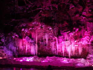 春を現す天然氷柱のピンク照明の画像10