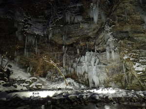 ホワイトに照らされる人工氷柱の画像14