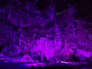 紫に照らされる人工氷柱の画像17
