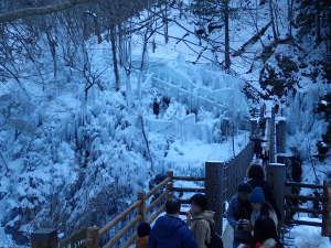 吊り橋からの景観を楽しむの画像29