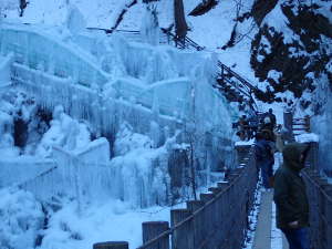 山際の氷柱カーテンの画像35