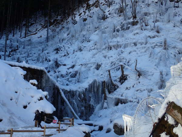 昼のあしがくぼの氷柱（2016/01/24)の画像49