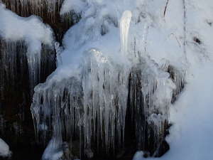 透き通った氷柱の画像55