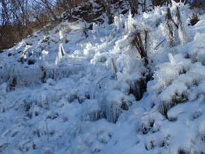 山肌にできた氷柱群の画像57