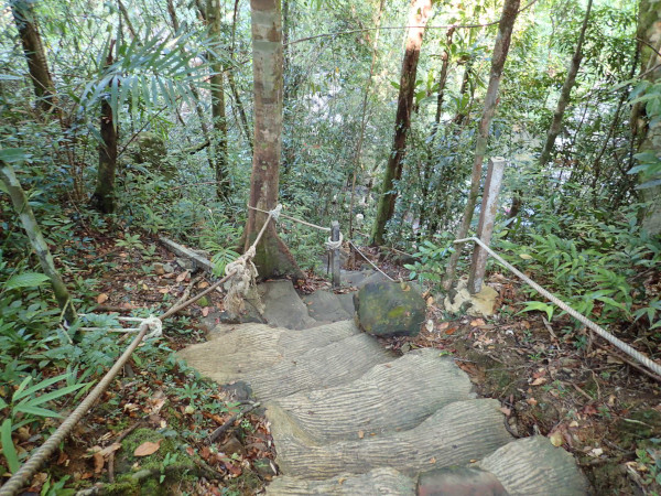 傾斜ののきつい山道を下る