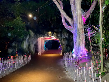 Magic Cave&Glow Forrestの入口
