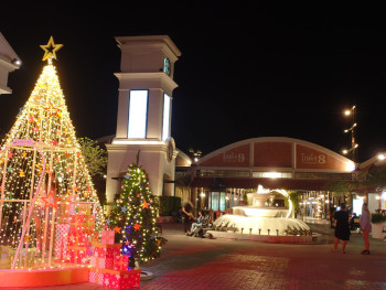 センター広場にクリスマスツリーが