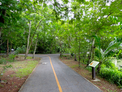 公園内のサイクリングロード