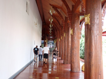 巨木の廊下