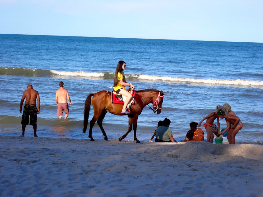 ホアヒンビーチと人気アクティビティの乗馬の画像01