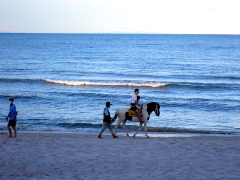 人気アクティビティの「海辺での乗馬」の画像10