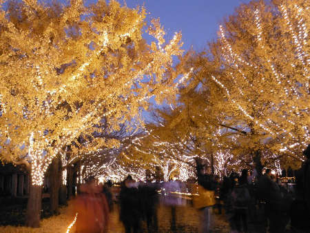 <h2>WINTER VISTA ILLUMINATION 2016（国営昭和記念公園）</h2>バナー