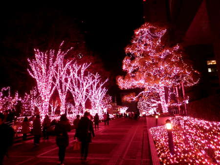 新宿サザンテラス全体がピンクに染まるの画像0402
